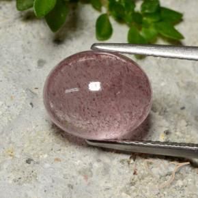 Quarzo fragola Rosa rosa naturale da 5.04 ct, Ovale, Traslucido