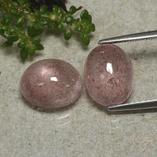 Gemme di Quarzo Fragola Rosa medio naturale da 6.34 ct, Ovale, Traslucido