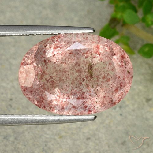 6.28ct Naturale Rosa terroso Quarzo fragola, Ovale, Traslucido