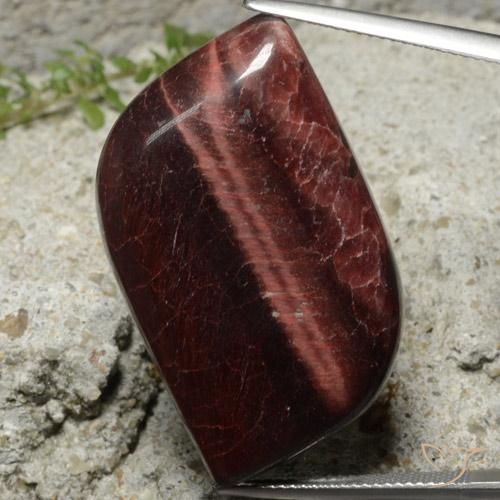 49.22ct Naturale Marrone Matrice di occhio di tigre, Taglio a fantasia, Opaco
