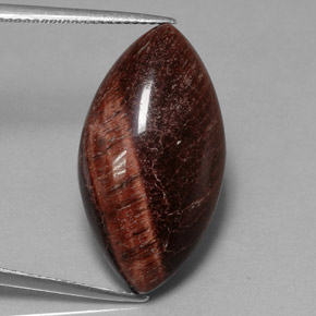 Tiger's eye matrix naturale multicolore da 21,56 ct, marchesa, opaco
