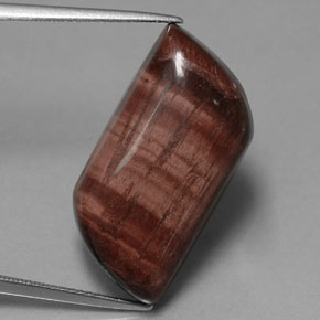Tiger's eye matrix naturale multicolore da 21,51 ct, forma fantasia, opaco