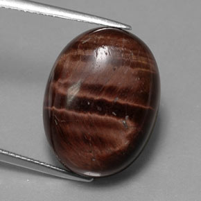 Tiger's eye matrix naturale multicolore da 21,49 ct, taglio ovale, opaco