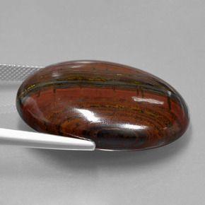 Matrice di occhio di tigre Multicolore naturale da 49.03 ct, Taglio ovale, Opaco