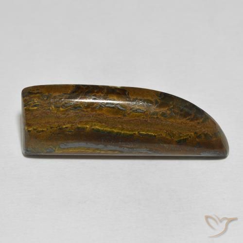 26.35ct Naturale Multicolore Matrice di occhio di tigre, Taglio a fantasia, Opaco