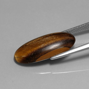 Occhio di tigre Oro Marrone naturale da 10.15 ct, Taglio ovale, Opaco