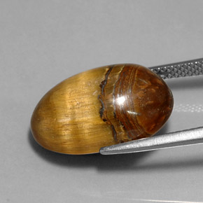 Tiger's eye naturale marrone da 12,90 ct, taglio ovale, opaco
