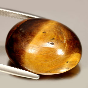 Occhio di tigre Oro Marrone naturale da 24.55 ct, Taglio ovale, Opaco