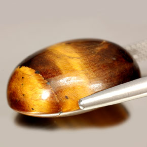 Occhio di tigre Oro Marrone naturale da 24.55 ct, Taglio ovale, Opaco