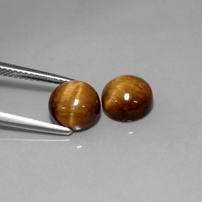 Gemme di Occhio di tigre Oro Marrone naturale da  ct, Taglio rotondo, Opaco