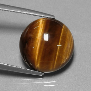 Occhio di tigre Oro Marrone naturale da 11.38 ct, Taglio rotondo, Opaco