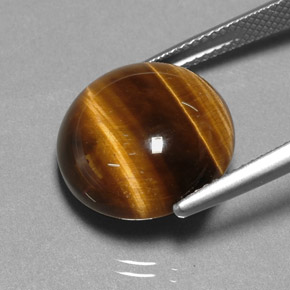 Occhio di tigre Oro Marrone naturale da 11.38 ct, Taglio rotondo, Opaco