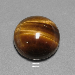 Occhio di tigre naturale marrone da 12,20 ct, taglio rotondo, opaco