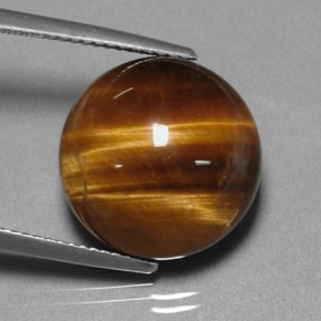 Occhio di tigre naturale marrone da 12,20 ct, taglio rotondo, opaco