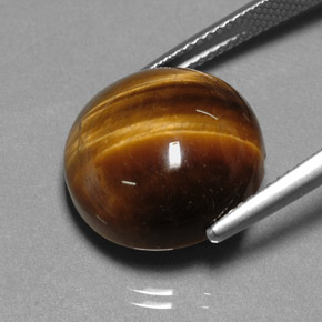 Occhio di tigre naturale marrone da 12,20 ct, taglio rotondo, opaco