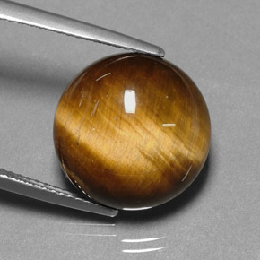 Tiger's eye naturale marrone da 11,12 ct, taglio rotondo, opaco