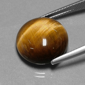 Tiger's eye naturale marrone da 11,12 ct, taglio rotondo, opaco