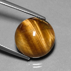 Occhio di tigre Oro Marrone naturale da 11.83 ct, Taglio rotondo, Opaco