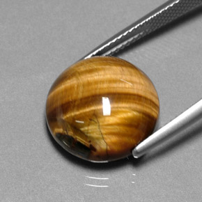 Occhio di tigre Oro Marrone naturale da 11.83 ct, Taglio rotondo, Opaco