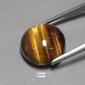 Occhio di tigre Oro Marrone naturale da 12.84 ct, Taglio rotondo, Opaco