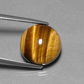 Occhio di tigre Oro Marrone naturale da 12.16 ct, Taglio rotondo, Opaco
