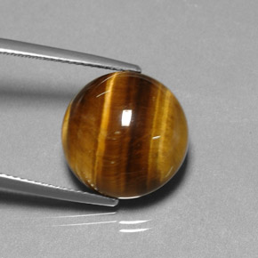 Tiger's eye naturale marrone da 11,77 ct, taglio rotondo, opaco