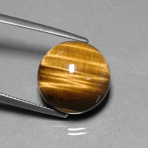 Occhio di tigre Oro Marrone naturale da 13.37 ct, Taglio rotondo, Opaco