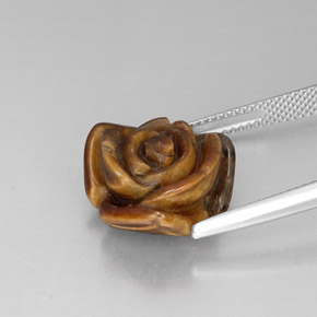 Occhio di tigre Oro Marrone naturale da 10.71 ct, Forma fantasia, Opaco