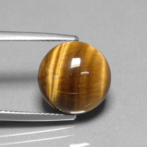 Tiger's eye naturale marrone da 6,69 ct, taglio rotondo, opaco