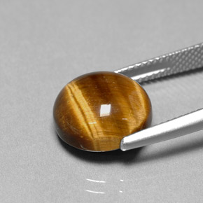 Tiger's eye naturale marrone da 6,69 ct, taglio rotondo, opaco
