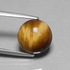 Occhio di tigre Oro Marrone naturale da 6.68 ct, Taglio rotondo, Opaco