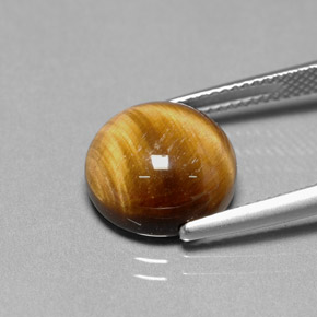 Occhio di tigre Oro Marrone naturale da 6.68 ct, Taglio rotondo, Opaco