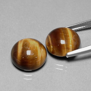 Tiger's eye naturale marrone da  ct, taglio rotondo, opaco