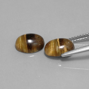 Tiger's eye naturale marrone da  ct, taglio ovale, opaco