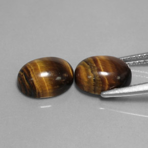 Gemme di Occhio di tigre Oro Marrone naturale da  ct, Taglio ovale, Opaco