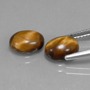 Tiger's eye naturale marrone da 1,59 ct, taglio ovale, opaco