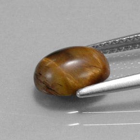 Tiger's eye naturale marrone da 1,55 ct, taglio ovale, opaco