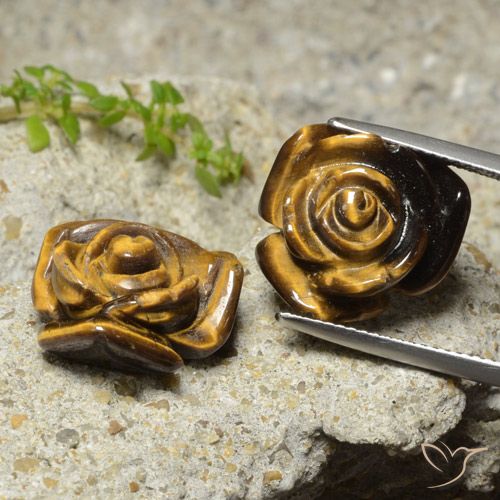 20.21ctw Naturale Marrone caldo Occhio di tigre, Taglio a fiore, Opaco