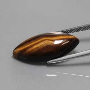 Tiger's eye naturale marrone da 13,03 ct, marchesa, opaco