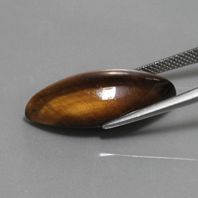 Occhio di tigre Oro Marrone naturale da 12.68 ct, Taglio marquise, Opaco