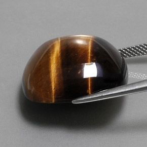 Occhio di tigre Oro Marrone naturale da 27.92 ct, Taglio a cuscino, Opaco