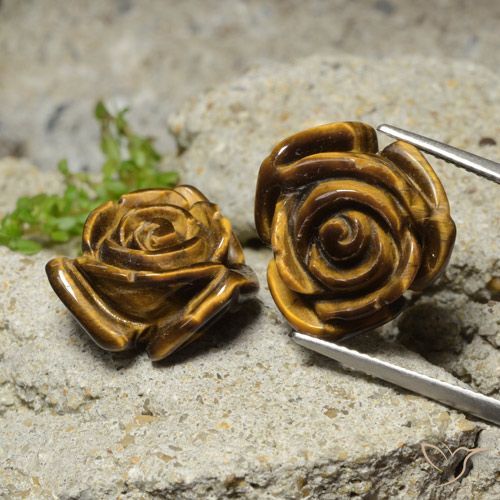 23.62ctw Naturale Pan di zenzero marrone Occhio di tigre, Taglio a fiore, Opaco
