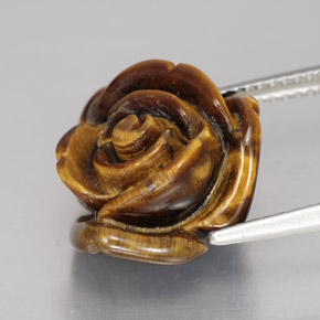 Occhio di tigre Oro Marrone naturale da 11.11 ct, Forma fantasia, Opaco