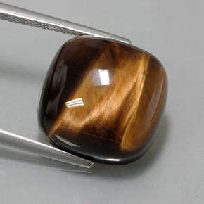 Occhio di tigre Oro Marrone naturale da 13.70 ct, Taglio a cuscino, Opaco