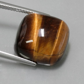 Occhio di tigre Oro Marrone naturale da 13.67 ct, Taglio a cuscino, Opaco