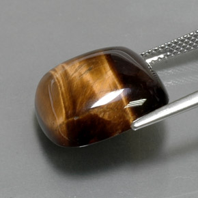 Occhio di tigre Oro Marrone naturale da 13.05 ct, Taglio a cuscino, Opaco