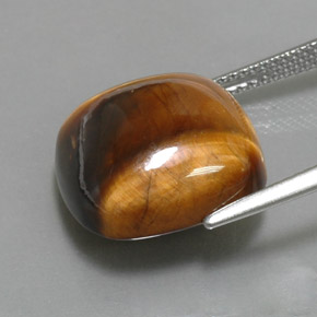 Tiger's eye naturale marrone da 13,02 ct, taglio a cuscino, opaco