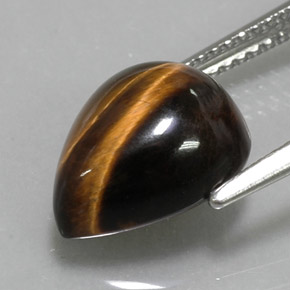 Occhio di tigre Oro Marrone naturale da 4.27 ct, Forma a pera, Opaco