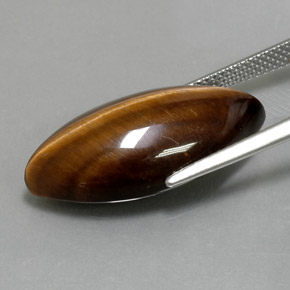 Tiger's eye naturale marrone da 12,55 ct, marchesa, opaco