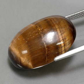 Tiger's eye naturale marrone da 24,80 ct, taglio ovale, opaco